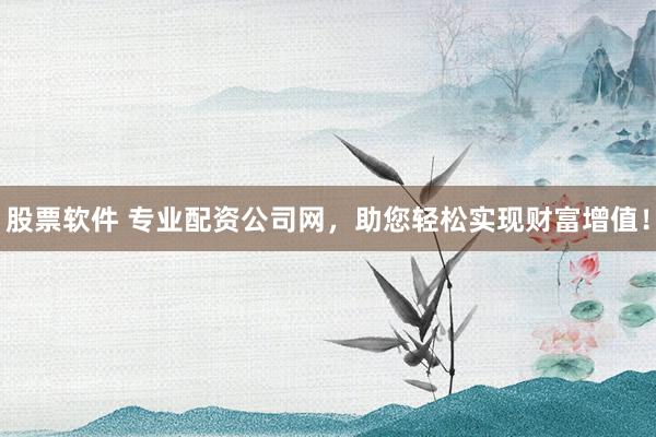 股票软件 专业配资公司网，助您轻松实现财富增值！