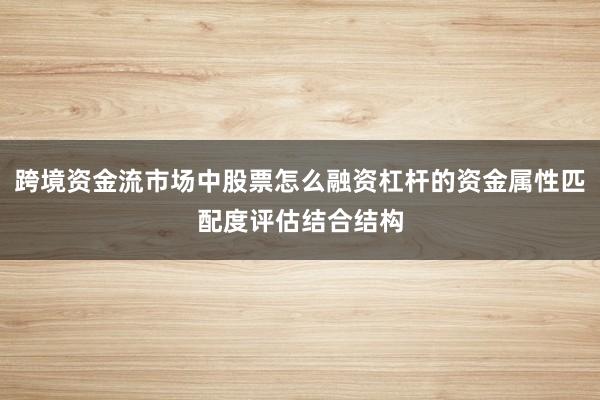 跨境资金流市场中股票怎么融资杠杆的资金属性匹配度评估结合结构